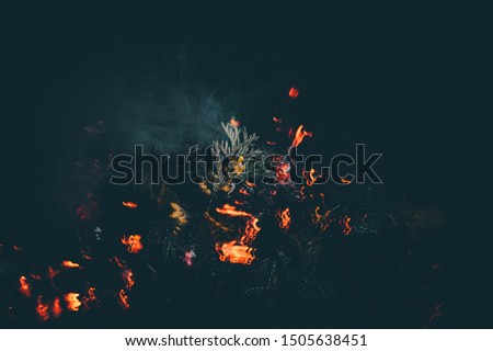  long exposure fire pictures, natural background, selective focus, film and grain