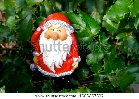 Santa Claus.Christmas time.
A little garden gnome in Santa Claus costume hides in the forest 
between prickly holly branches 
(not copyrighted)