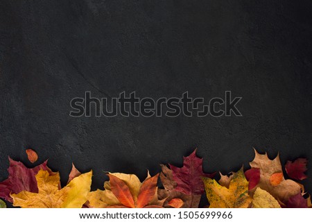 Autumn leaves on concrete background. Flat lay, top view, copy space