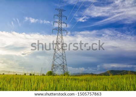 Landscape picture  about rice fields, high-voltage electricity poles And beautiful sky 
In the rainy season of Chiang Rai Province, Thailand