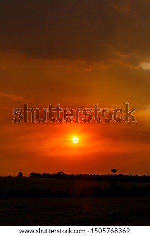 Sunset with a beautiful sky at the savanna in Africa