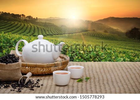 Warm cup of tea with teapot, green tea leaves and dried herbs on the bamboo mat at morning in plantations background with empty space, Organic product from the nature for healthy with traditional Royalty-Free Stock Photo #1505778293