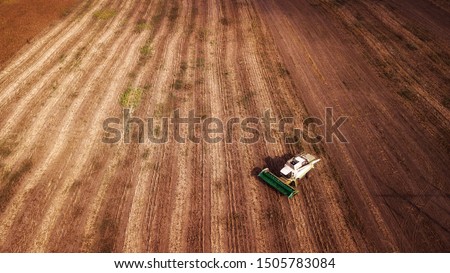 aerial view modern agricultural equipment , machinery, tractor  harvests wheat field. seasonal works. drone shot. picture with space for text. Farmland from above