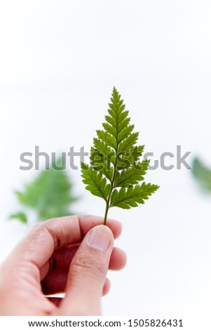 ferns held by the right hand