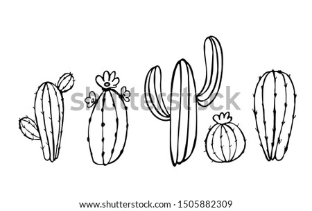 Set of sketches of decorative cacti.