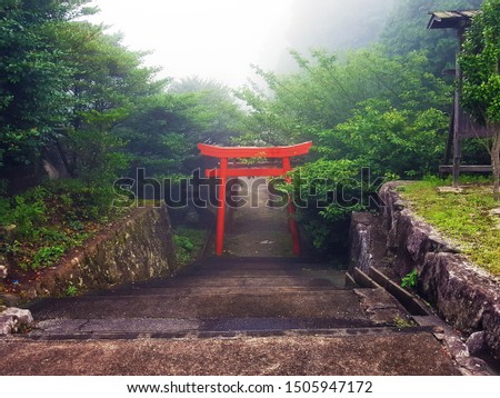 One red Shinto shrine's Torii gate that standing alone at the stairs entrance amount many green trees in the foggy misty natural forest.