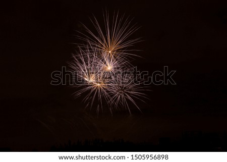 Fireworks in new year celebration.