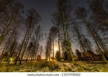 Full moon in clear sky shines over frozen Scandinavian wild forest, long exposure night photo, winter, virgin frozen landscape