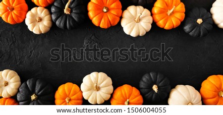 Autumn pumpkin double border banner in Halloween colors orange, black and white against a black stone background. Copy space.
