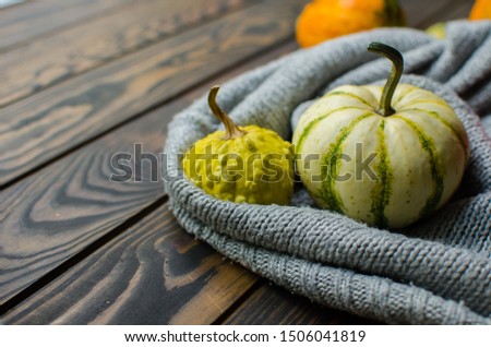 small pumpkins of various shapes and sizeson wooden background. cozy autumn content. place for text.
