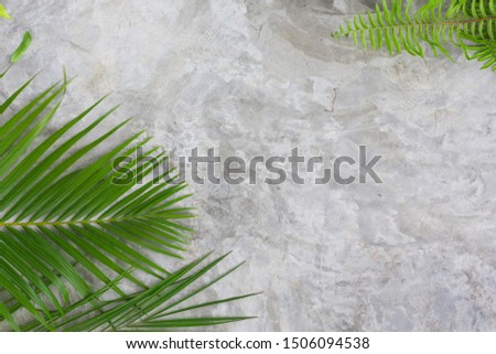 Green tropical background with palm leaves on concrete floor. Tree leafs texture for decoration. Natural.