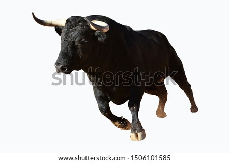 Black bull with big horns Royalty-Free Stock Photo #1506101585