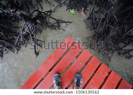 A man with adventure shoe stand near the edge of platform in the sea. A platform or path way in the Mangrove forest.