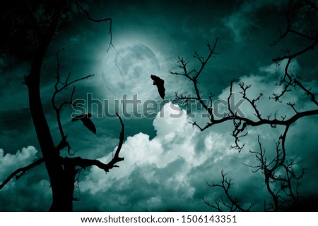 Halloween concept; Spooky forest with full moon and dead trees