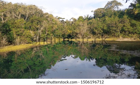 picture taken from the interior of Rondônia in Brazil, place by popular name Lagoa Azul