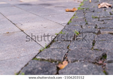 old stoneblock pavement cobbled with square granite blocks with green grass sprouted at autumn. background, nature.