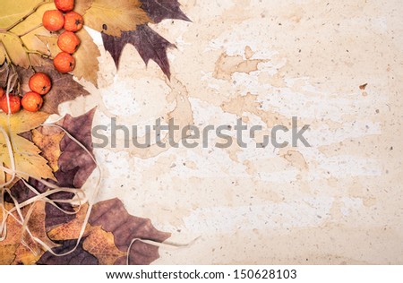 Autumn leaves on textured paper with coffee stains
