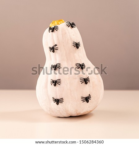 Halloween concept. White pumpkin with spiders front view on white table. Hand made colored halloween craft