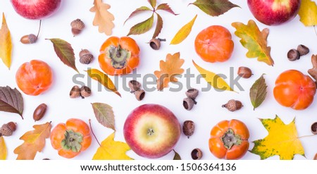 Top view of natural fall fruits apples and persimmon with colorful leaves and arcons on a light background.