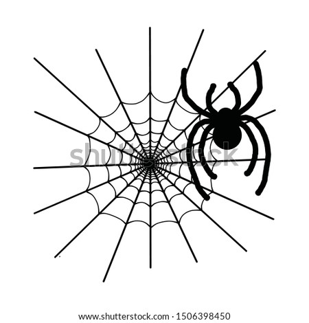 Halloween spider icon. On white background
