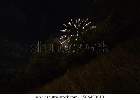 Fireworks displayed at night time near the woods