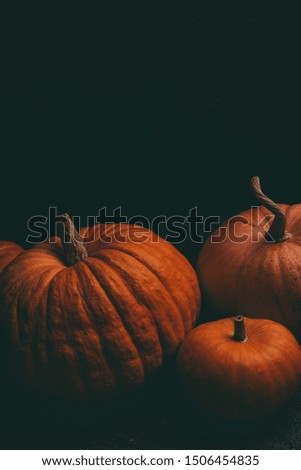 Photo of three orange pumpkins on blank black background, halloween celebration.