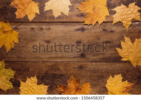 Autumn leaves on rustic wooden background. Top view with copy space. Wallpaper for Halloween party and seasonal rural festival.
