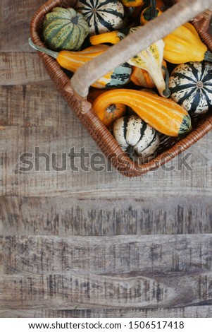 Small decorative pumpkins in the basket. Top view.