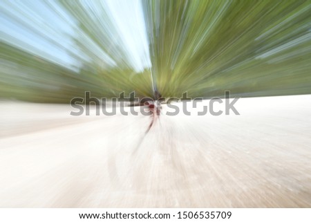 Abstract forest scene with lens blur and zooming effect