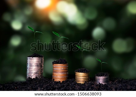 Concept of Business Finance and Save Money. Money coin stack growing with green bokeh background, investment concept.tree growing on coin.