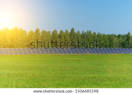 Blue solar panels in the field. Renewable energy.