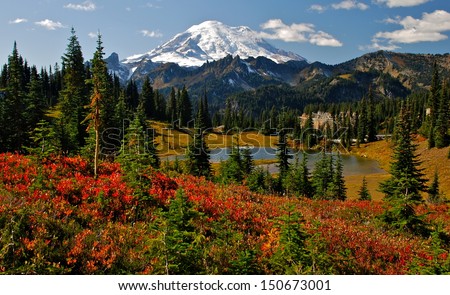 Autumn colors in Mt. Rainier National Park Royalty-Free Stock Photo #150673001