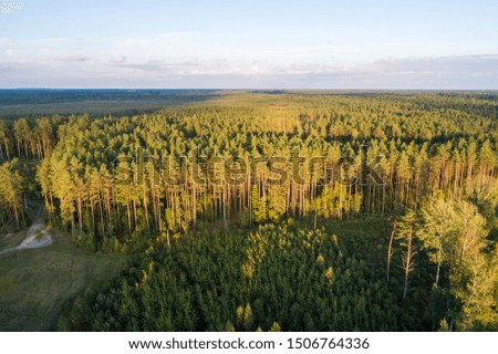 Aerial view of river among the forest. Summer nature landscape. Sunset.
