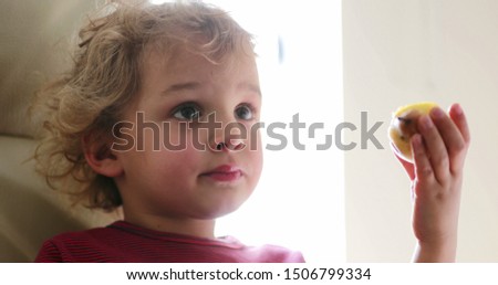 Toddler boy face hypnotized eating pear chewing while seated at home sofa
