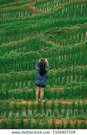 Young women with natural scenery, beautiful rice fields in rural areas, northern Thailand.