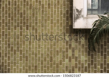 Old brown ceramic rectangle tile wall with corner of window and palm leaf, free space for text 