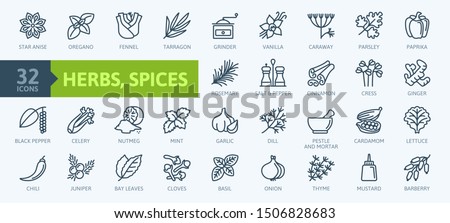 Spices, condiments and herbs  - minimal thin line web icon set. Outline icons collection. Simple vector illustration. Royalty-Free Stock Photo #1506828683