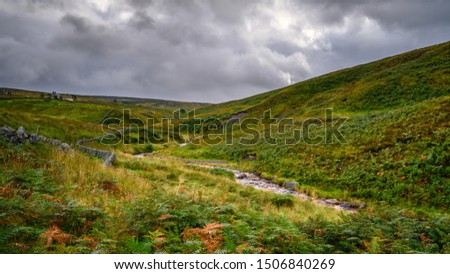 Source of River West Allen, as it begins its journey on Coalcleugh Moor in the North Pennines AONB