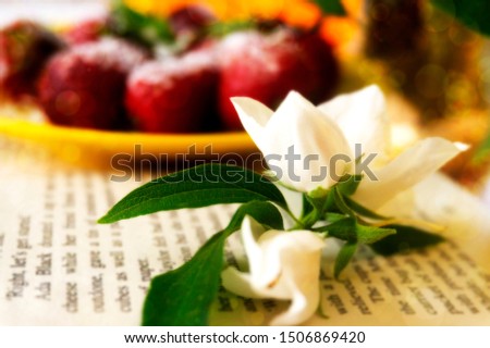 white jasmine on a book background, beautiful background
