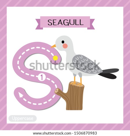 Letter S uppercase cute children colorful zoo and animals ABC alphabet tracing flashcard of Seagull bird perching branch for kids learning English vocabulary and handwriting vector illustration.