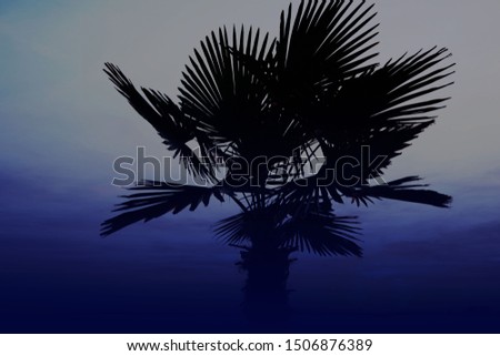 Coconut palm tree with vintage effect for background