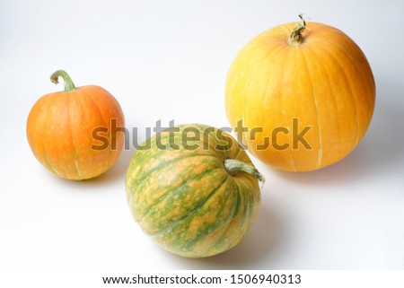 The main attributes of the holiday are Halloween, pumpkin of different sizes on a white background, bright natural color, high contrast.