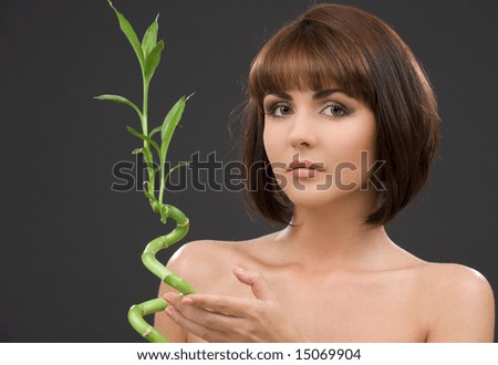 picture of lovely brunette with bamboo over grey