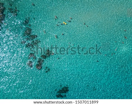 Aerial view of people swimming in the sea in the summer season