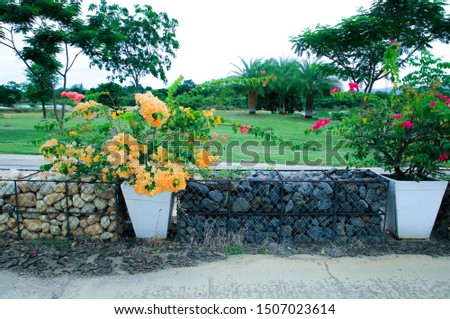 The decoration on the roadside with dark bougainvillea and gravel which is put into a steel cage. Gardening ideas That is natural The background is a lawn and a refreshing green tree.