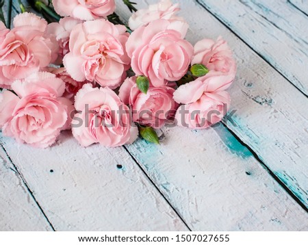 Beautiful carnation flowers on the wooden