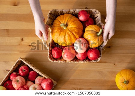 A young girl holds in her hands a wicker basket with red apples and pumpkins. Harvest concept. Early autumn. Thanksgiving Day.
