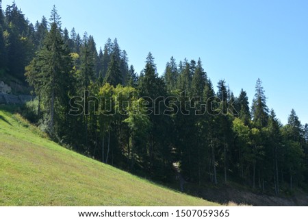 Postavarul peak in the Carpathian mountains one autumn day