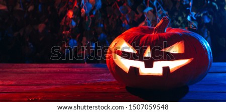 Halloween Pumpkin On a Tree In a dark Forest at Night
