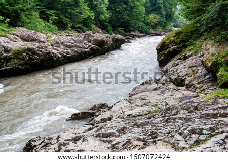 Summer landscape with mountain river, rocks and green forest